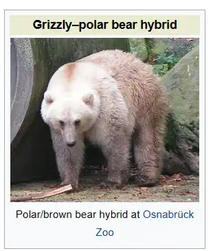 Polar bear brown bear hybrid.
