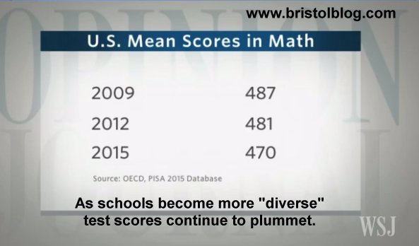 PISA scores dcline as schools become more diverse.